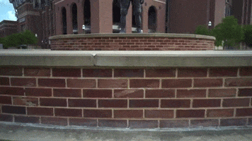 Texas Am Statue GIF by Texas A&M University