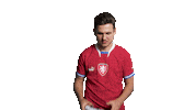 Football Esports Sticker by 2score