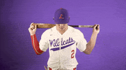 Baseball GIF by Linfield Athletics