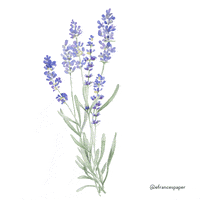 Art Illustration GIF by E.FrancesPaper