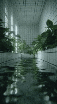 Wave Plant GIF by Database數據