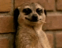 Smirk Funny Reaction GIF