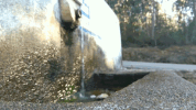 water GIF
