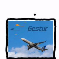 GESTURRD gestur plane GIF