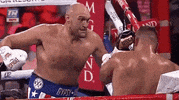 toprank fight boxing fighting espn GIF