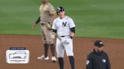 Celebrate New York Yankees GIF by MLB