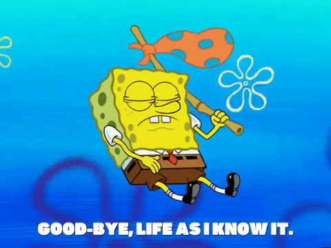 season 5 GIF by SpongeBob SquarePants