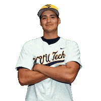 Baseball Sticker by WVU Tech Golden Bears