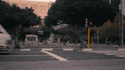 redbullracing car drink racing race GIF