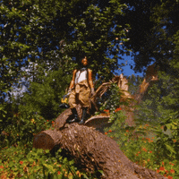 Fun Wow GIF by Kärcher