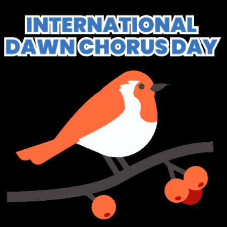 Bird GIF by Dogwood Alliance