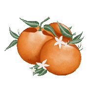 Orange Fruit Sticker