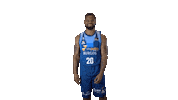 Liga Endesa Basketball Sticker by ACB
