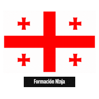 Flag Pixel Art Sticker by Formación Ninja