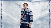 Hockey Tor GIF by Iserlohn Roosters