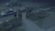 Art Cat GIF by kim noce