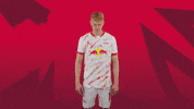 Sport Rbl GIF by RB Leipzig