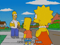 homer simpson episode 3 GIF
