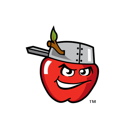 Baseball Sticker by Fort Wayne TinCaps