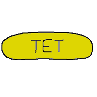 Vietnam Tet Sticker