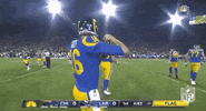 Regular Season Football GIF by NFL