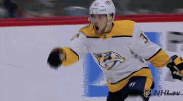 nhl happy sports celebration excited GIF
