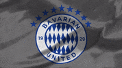 United Football GIF by USL
