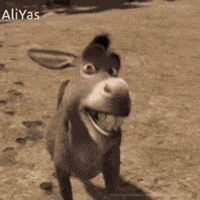 Petista GIF