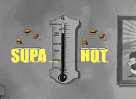 fleischerstudios hot funny summer retro GIF