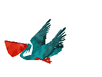 Oranjebloesem koningsdag koningsdag2020 oranjebloesem oranjebloesem2020 Sticker