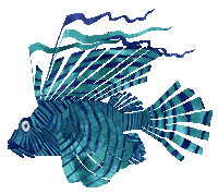 Oranjebloesem koningsdag koningsdag2020 oranjebloesem oranjebloesem2020 Sticker