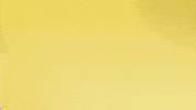 Happy Borussia Dortmund GIF by Bundesliga