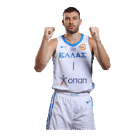 OPAP mundobasket hellasbasketball diplastinethniki winforhellas Sticker
