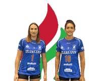 Volleyball Sticker by AsotraPłomieńSosnowiec