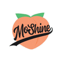 peach turn up peaches nelly hot in herre Sticker