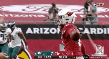 Regular Season Football GIF by NFL