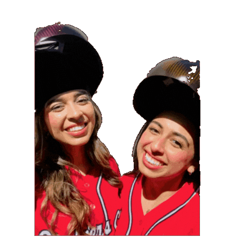 Snake Welding Sticker by Pipeliners Cloud