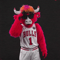Red Bull Sport GIF by Chicago Bulls