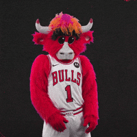 Red Bull Shrug GIF by Chicago Bulls