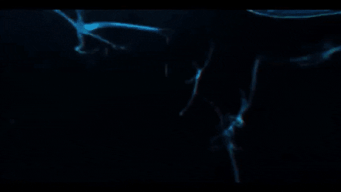 Think About It Mind Blown GIF by 070 Phi