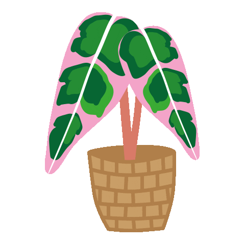Summer Plants Sticker