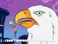 season 7 the curse of bikini bottom GIF by SpongeBob SquarePants