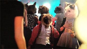 party GIF