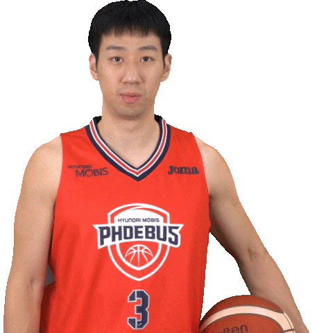 Basketball Do Not Sticker by hyundaimobis