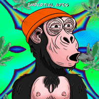 Domain GIF by XDomain Services