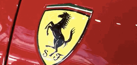 watzupdeal giphyupload GIF