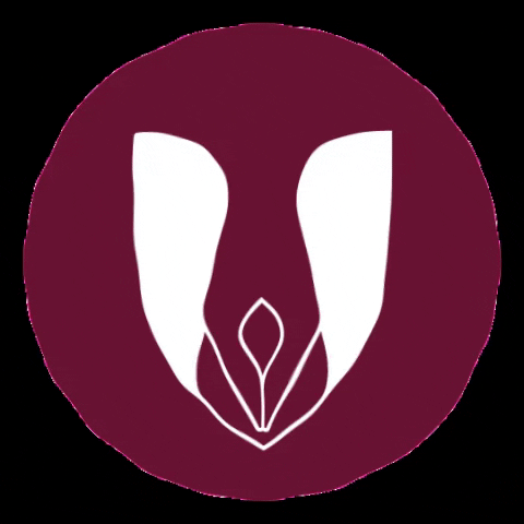 cartoriodebalsas maranhao balsas cartorio cartorios GIF
