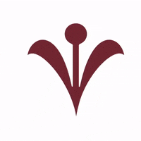 espurnesbarroques espurna espurnes espurnesbarroques barroques GIF