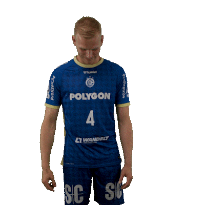 Handball Sticker by DAIKIN HBL