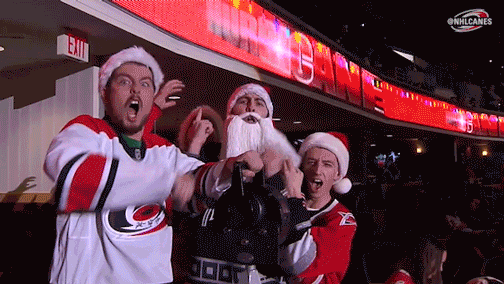 hockey nhl GIF by Carolina Hurricanes